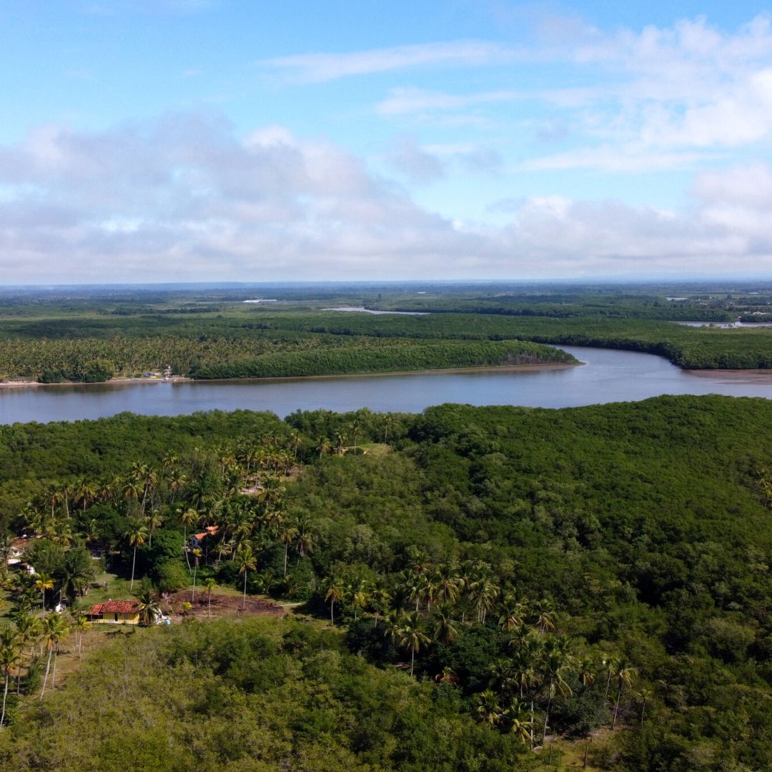 Rios Canavieiras Praias Bahia Brasil