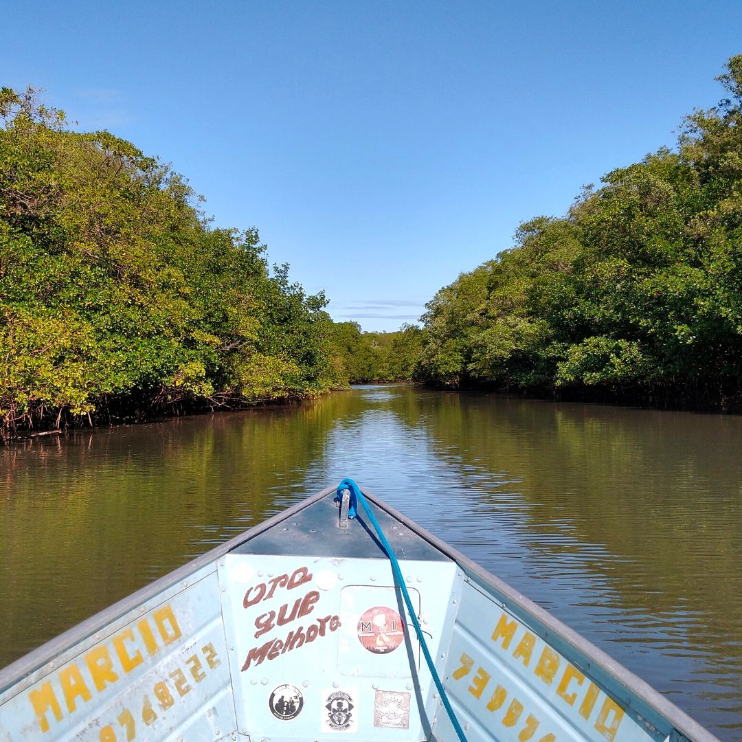 Ecoturismo Canavieiras