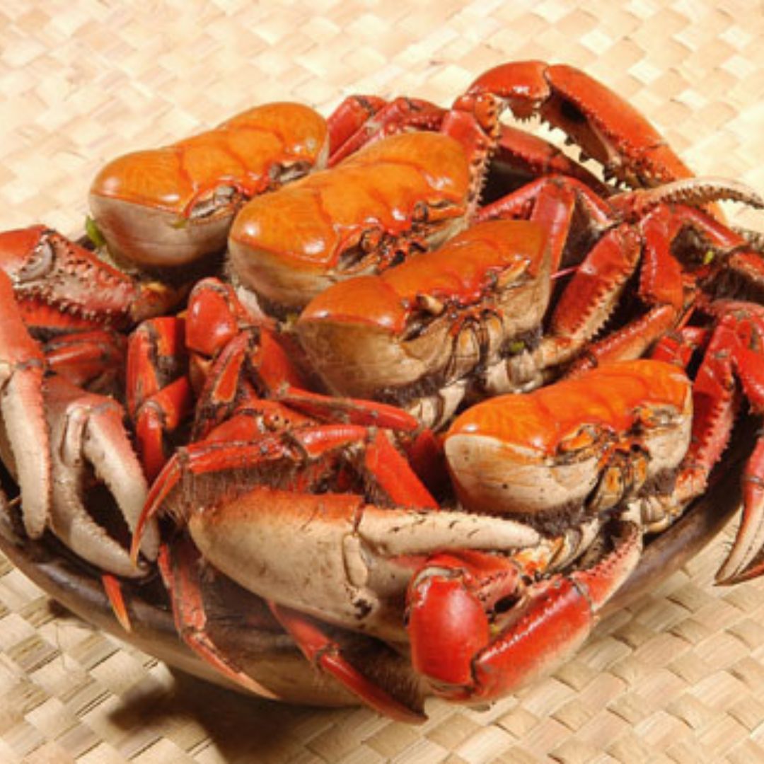 Gastronomia de Canavieiras