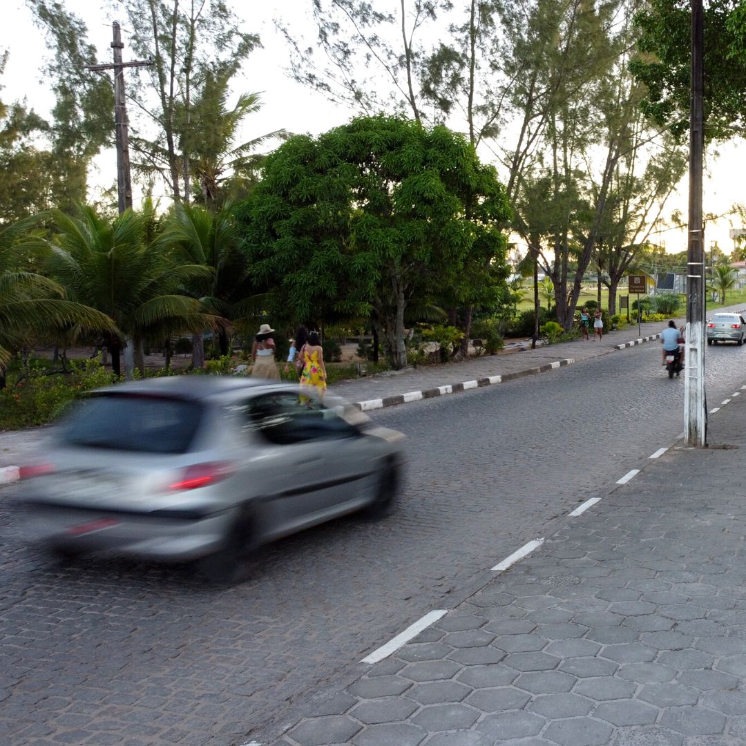 Serviços Canavieiras
