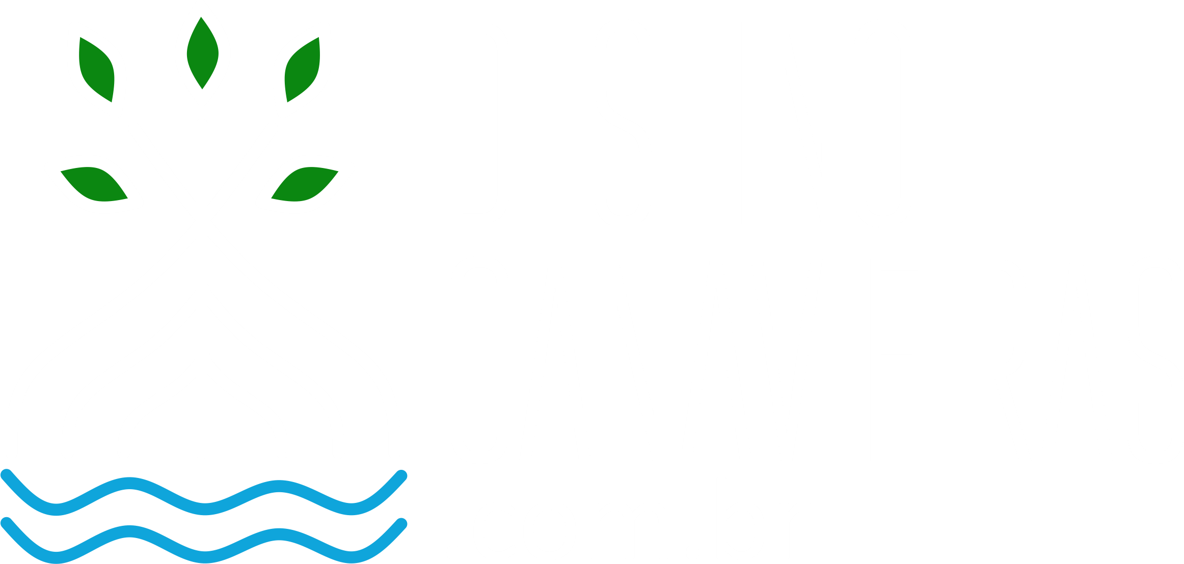 Destino Canavieiras