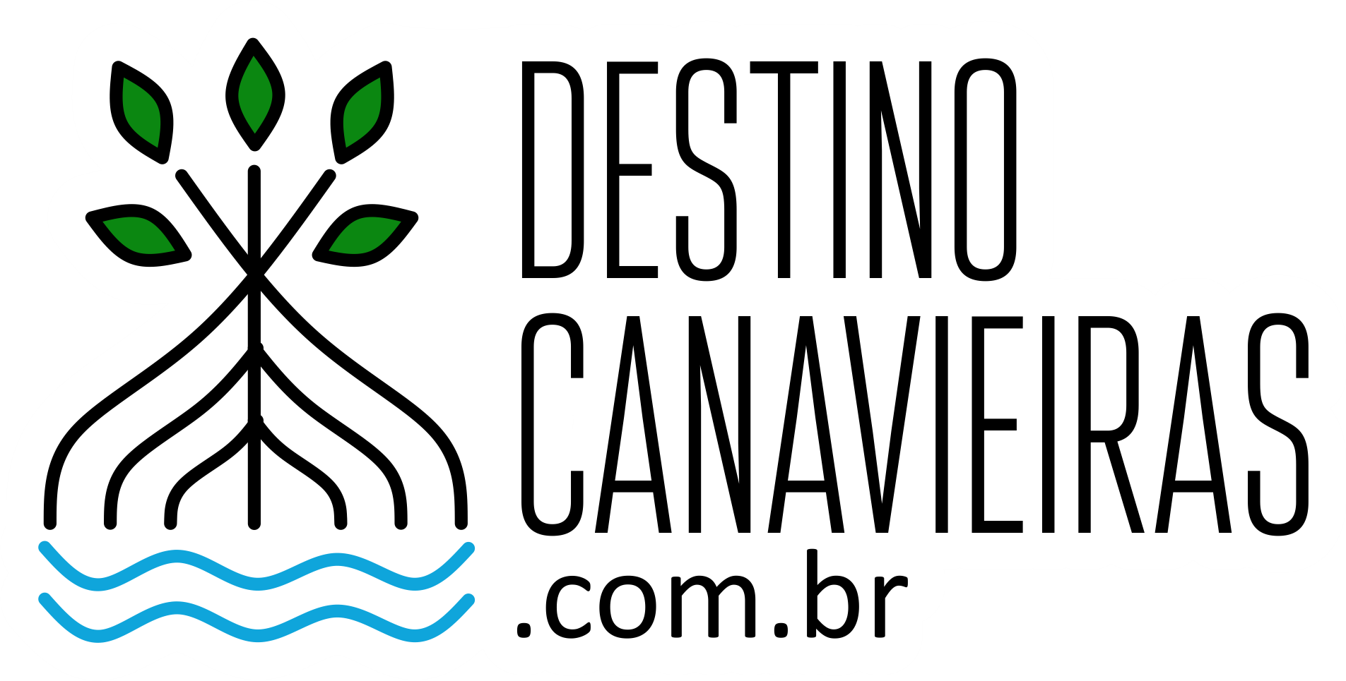 Destino Canavieiras