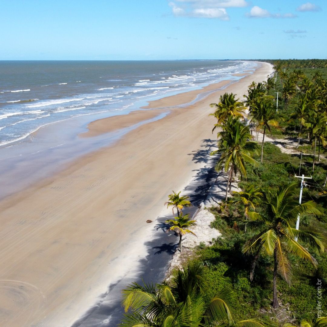 Costa Praias Canavieiras Bahia Brasil